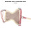AntiLost Pink Check Cat Harness with 1.0cm Leash, Adjustable, Escape-Proof 11