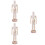 3 Stuks Scharnierende Model Ambachten Decor 7