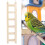 2 Pcs Wooden Parrot Ladder Swing Training Rack 9