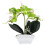 Künstliche Echte Orchidee Phalaenopsis Grün 1 Satz 4