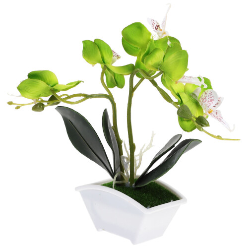 Künstliche Echte Orchidee Phalaenopsis Grün 1 Satz 2