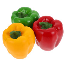 6 Paprika Modelle Fotoprop