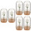 6 Mini Glasglocke Für Tischdekoration 8
