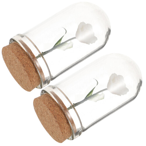 6 Mini Glasglocke Für Tischdekoration 2