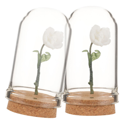 6 Mini Glasglocke Für Tischdekoration 1