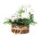 1St Simulierte Teerose Bonsai Holzstab Oval 3