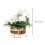 1St Simulierte Teerose Bonsai Holzstab Oval 8