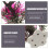 Kunstplant Roze Vis Aquarium 10