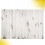 3d Wood Grain White Background 8