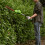 Greenworks 40V Pole Saw & Hedge Trimmer - tool only 8