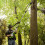 Greenworks 40V Pole Saw & Hedge Trimmer - tool only 4