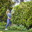 Greenworks 24V Pole Hedge Trimmer 51cm - tool only 5