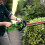 Greenworks 40V Hedge Trimmer 61cm - 2Ah Battery 15