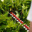 Greenworks 40V Hedge Trimmer 61cm - 2Ah Battery 13
