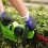 Greenworks 40V Hedge Trimmer 61cm - 2Ah Battery 7
