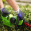 Greenworks 40V Hedge Trimmer 61cm - 2Ah Battery 14