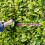 Greenworks 40V Hedge Trimmer 61cm - 2Ah Battery 8