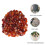 1 Pack Visserijsteen Decoratie Aquarium 10