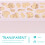 10Stk Macaron Verpackungsbox Mit Transparenter 8