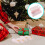 10Stk Macaron Verpackungsbox Mit Transparenter 5