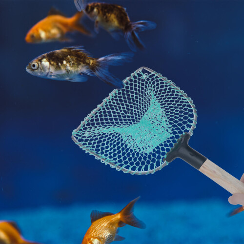 filet pour aquarium bac à , outil de récupération 1
