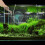 filet pour aquarium bac à , outil de récupération 9