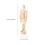 Gewrichtsman 16 Cm Decoratief Model Ornament 2