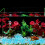 400 Stuks Lichtgevende Aquariumstenen 5