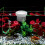 Vis Kweekbox Vis Isolatiebox Aquarium Vis Scheder 9