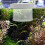 Vis Kweekbox Vis Isolatiebox Aquarium Vis Scheder 7