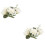 2Stk Künstliche Rosenblumen 8