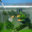 Extendable Black Fish Shrimp Net Durable Nylon Mesh for Tank Use 8