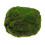 1Pc Simulation Natural Dried Moss For Home Flowerpot Decor 1