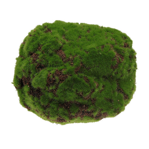 1Pc Simulation Natural Dried Moss For Home Flowerpot Decor