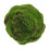 1Pc Simulation Natural Dried Moss For Home Flowerpot Decor 4