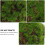 1Pc Simulation Natural Dried Moss For Home Flowerpot Decor 8