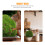1Pc Simulation Natural Dried Moss For Home Flowerpot Decor 11