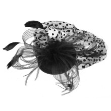 Retro Bird Cage Mesh Bridal Veil Fascinator Clip