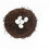 Creative Bedroom Layout Prop Bird Nest Egg Sparrow Ornament Set 3