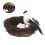 Creative Bedroom Layout Prop Bird Nest Egg Sparrow Ornament Set 4