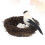 Creative Bedroom Layout Prop Bird Nest Egg Sparrow Ornament Set 5