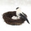 Creative Bedroom Layout Prop Bird Nest Egg Sparrow Ornament Set 8