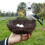 Creative Bedroom Layout Prop Bird Nest Egg Sparrow Ornament Set 7
