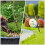 2Pcs Mini Fishing Pole Model For Micro Landscape Diy Decor 3
