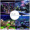 1Pc Safe Fish Tank Light Unique Aquarium Landscape Lamp 10