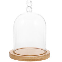Dried Flower Display Glass Dome With Wood Base