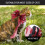 Adorable Adjustable Kitten Collar Decorative Pet Neckwear 10