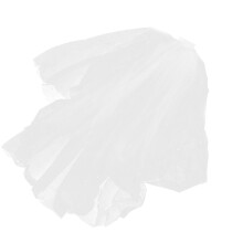 Delicate Vintage Bridal Elegant