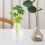 5 piante artificiali per con , decorazione 8