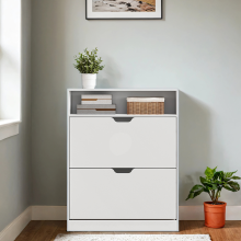 Shoe Storage Cabinet, Adjustable Divider, for 11-16 Pairs of Shoes, 24 x 80 x 102 cm
